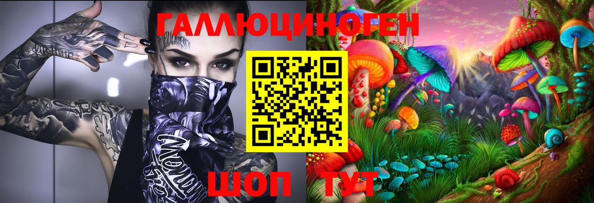 Псилоцибиновые грибы прущие грибы Джанкой